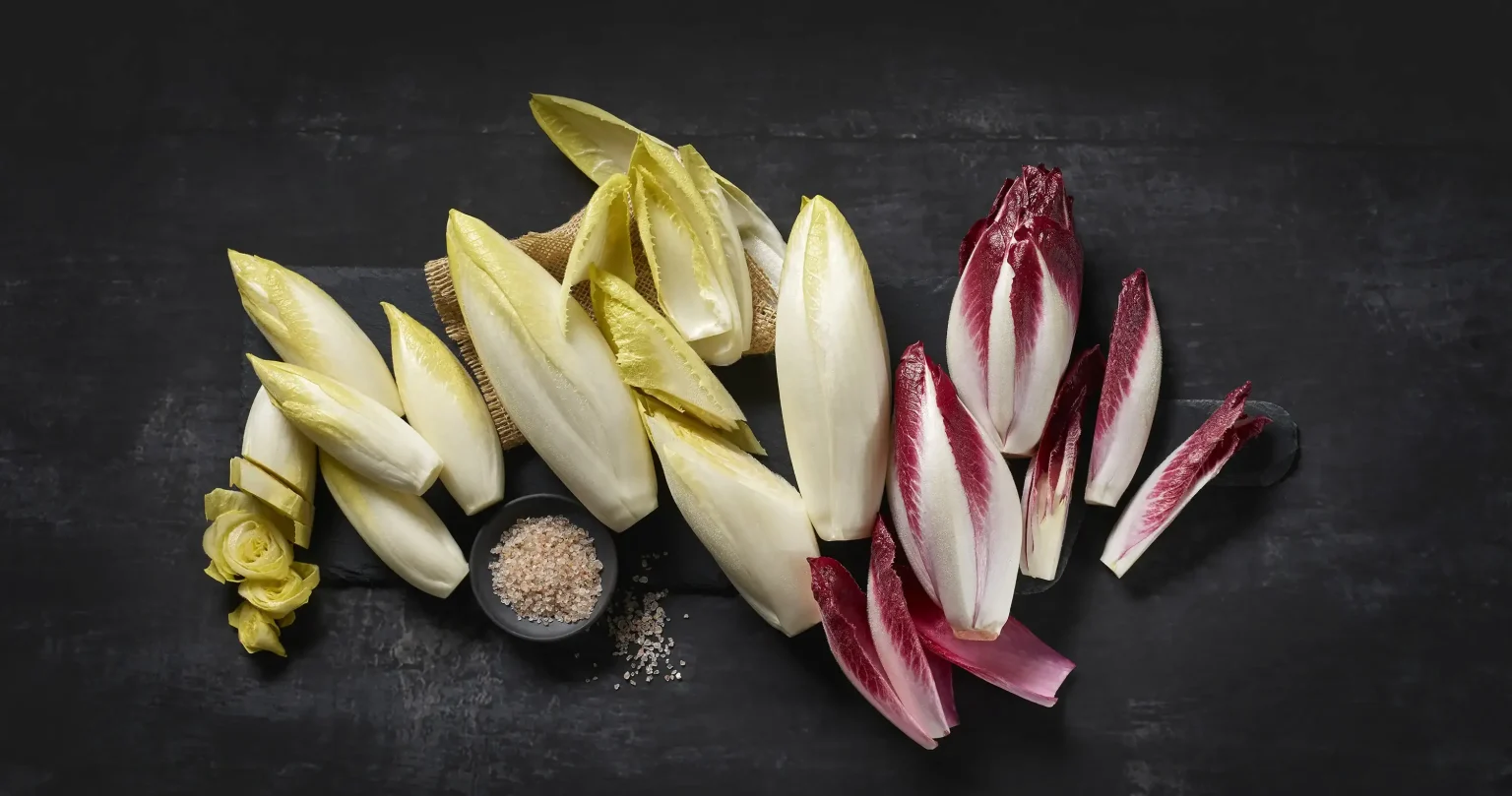 3 sorte cikorije (bela, rdeča, mini cikorija „Chicorette“), predstavljene na kulinaričen način na temnem ozadju